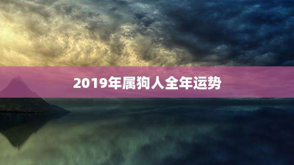 2019年属狗人全年运势