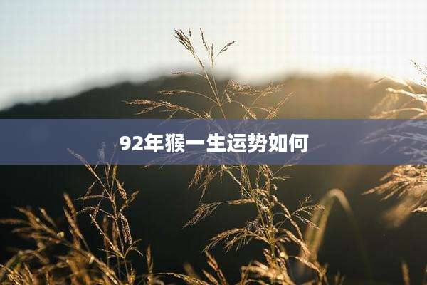 92年猴一生运势如何