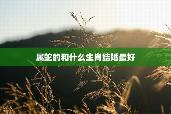 属蛇的和什么生肖结婚最好