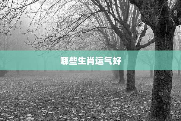 哪些生肖运气好