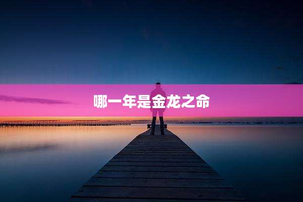 哪一年是金龙之命
