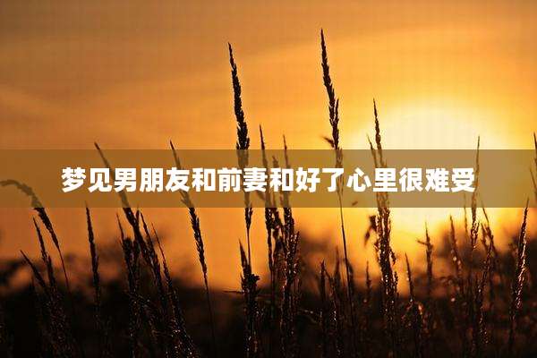 梦见男朋友和前妻和好了心里很难受
