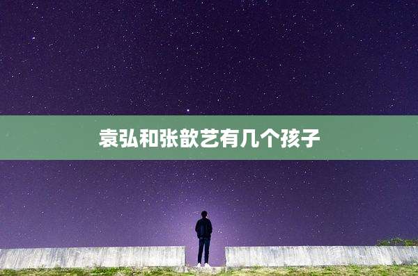 袁弘和张歆艺有几个孩子