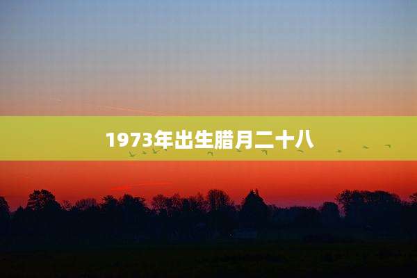 1973年出生腊月二十八