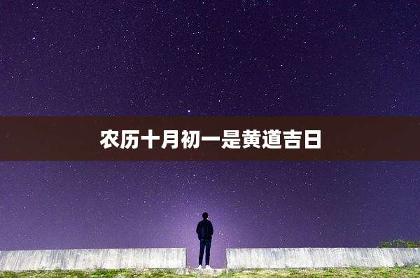 农历十月初一是黄道吉日