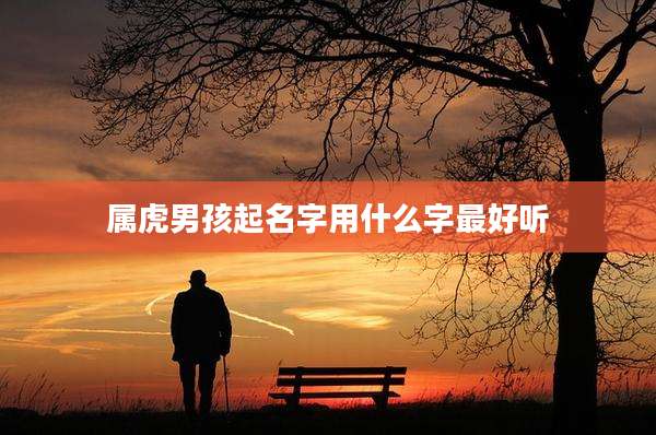属虎男孩起名字用什么字最好听