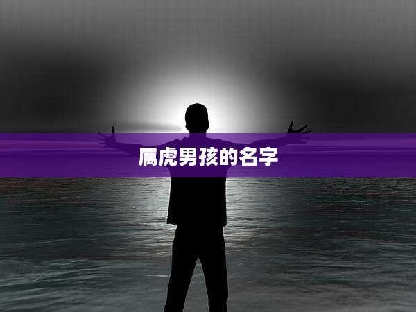 属虎男孩的名字