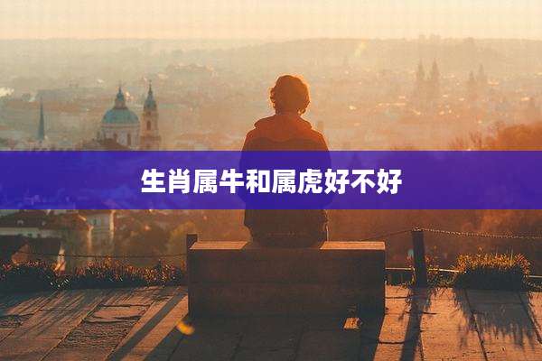 生肖属牛和属虎好不好