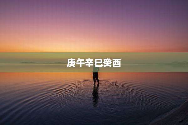 庚午辛巳癸酉