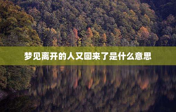 梦见离开的人又回来了是什么意思