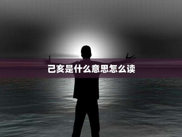 己亥是什么意思怎么读