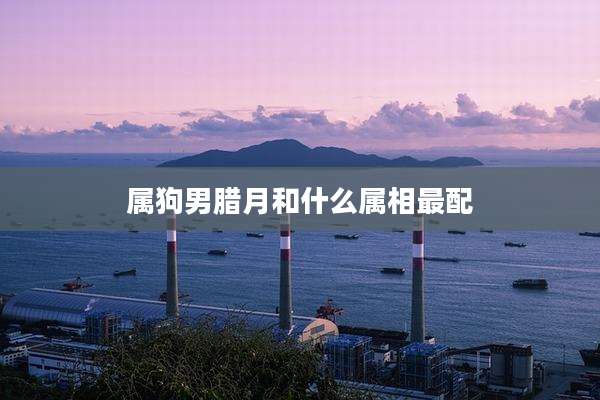 属狗男腊月和什么属相最配
