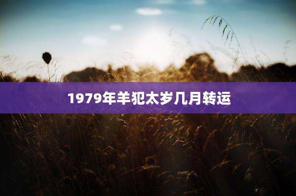 1979年羊犯太岁几月转运
