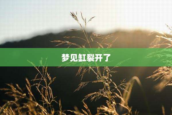 梦见缸裂开了