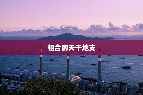相合的天干地支