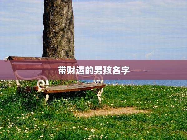 带财运的男孩名字