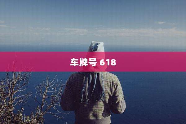 车牌号 618