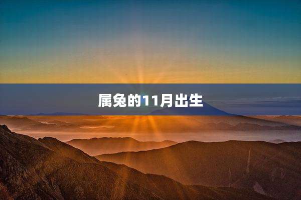 属兔的11月出生