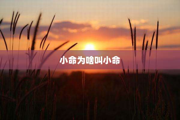 小命为啥叫小命