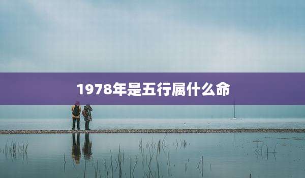 1978年是五行属什么命