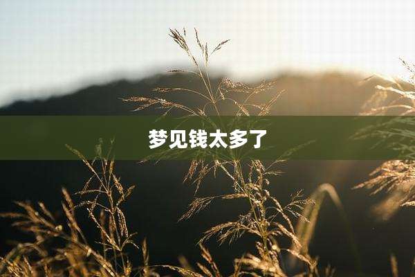 梦见钱太多了