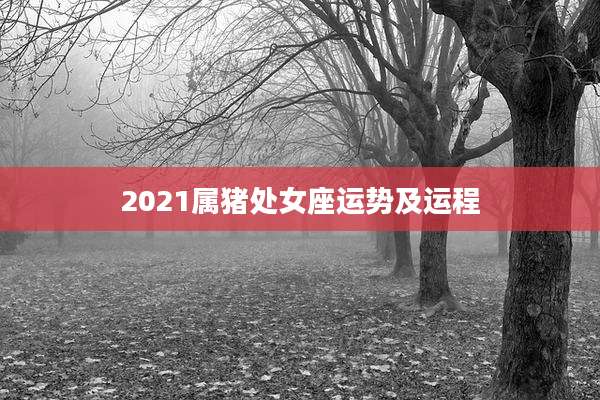 2021属猪处女座运势及运程