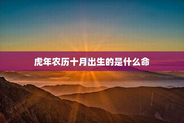 虎年农历十月出生的是什么命