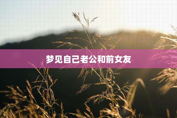 梦见自己老公和前女友
