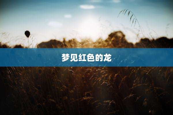梦见红色的龙