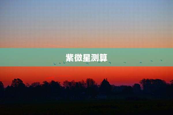 紫微星测算