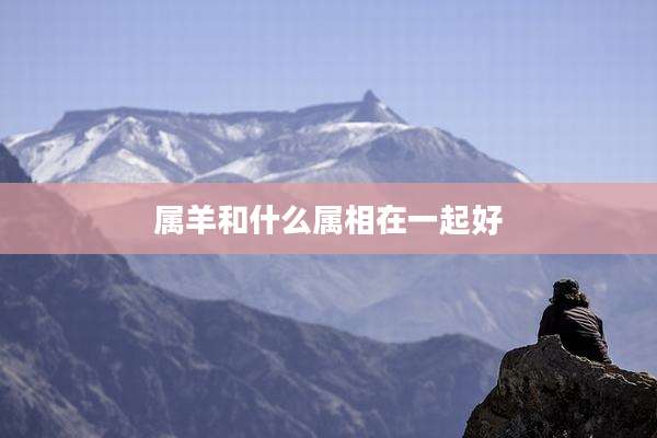 属羊和什么属相在一起好