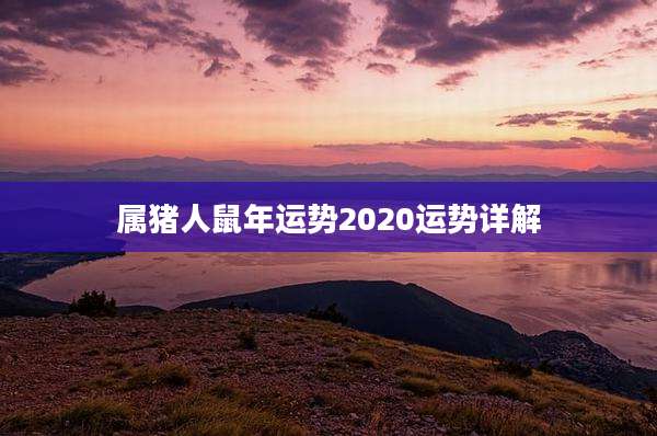 属猪人鼠年运势2020运势详解