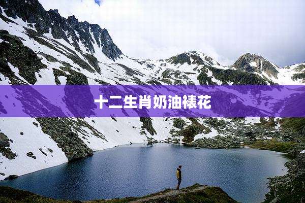 十二生肖奶油裱花