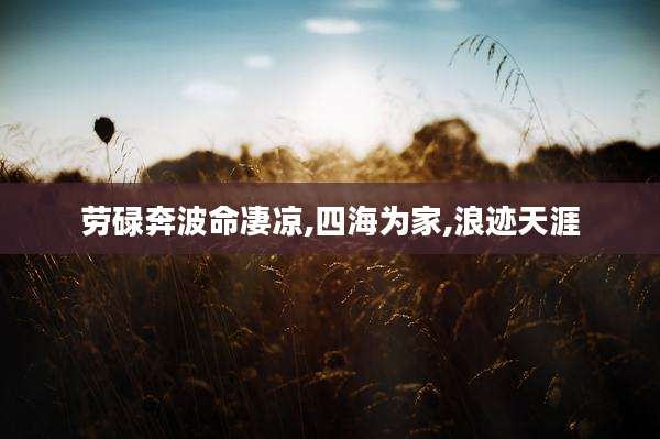 劳碌奔波命凄凉,四海为家,浪迹天涯