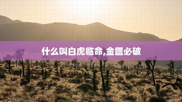 什么叫白虎临命,金匮必破