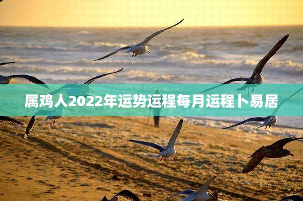 属鸡人2022年运势运程每月运程卜易居