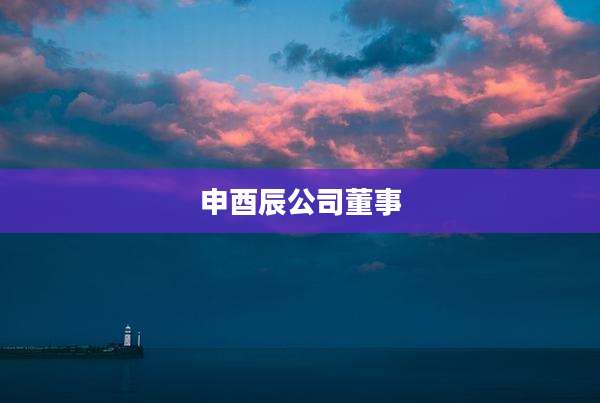申酉辰公司董事