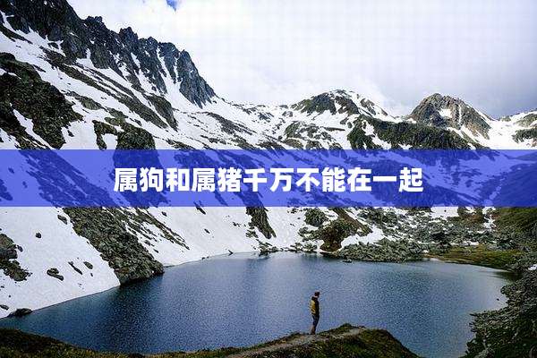 属狗和属猪千万不能在一起