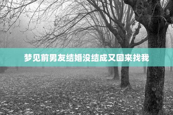 梦见前男友结婚没结成又回来找我