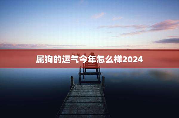 属狗的运气今年怎么样2024
