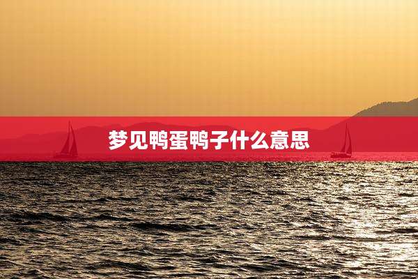 梦见鸭蛋鸭子什么意思