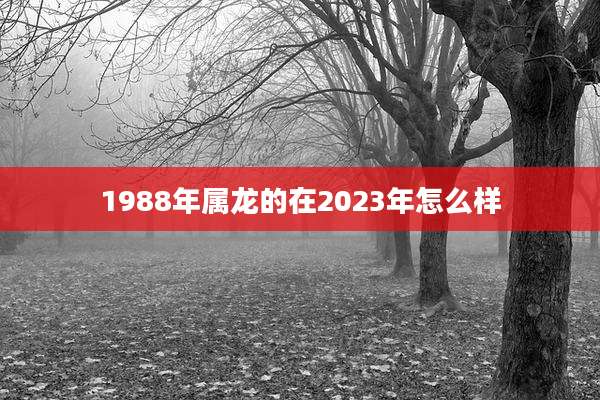 1988年属龙的在2023年怎么样