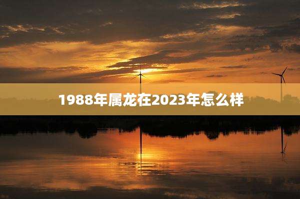 1988年属龙在2023年怎么样