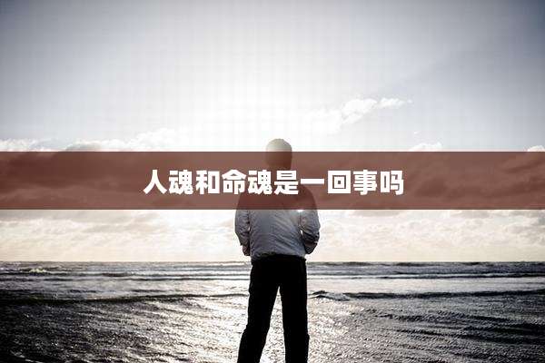 人魂和命魂是一回事吗