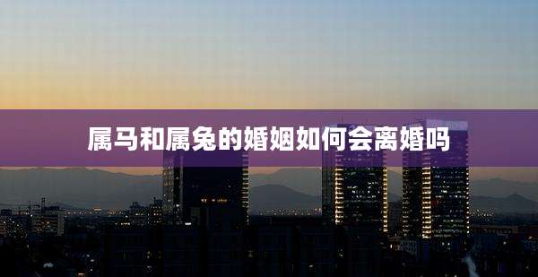 属马和属兔的婚姻如何会离婚吗