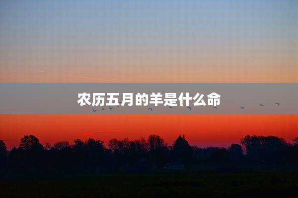 农历五月的羊是什么命