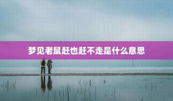 梦见老鼠赶也赶不走是什么意思