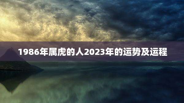 1986年属虎的人2023年的运势及运程