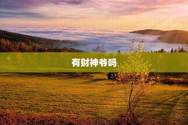 有财神爷吗