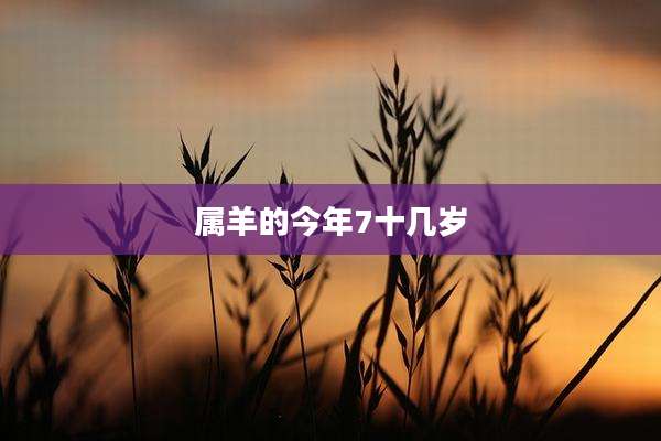 属羊的今年7十几岁